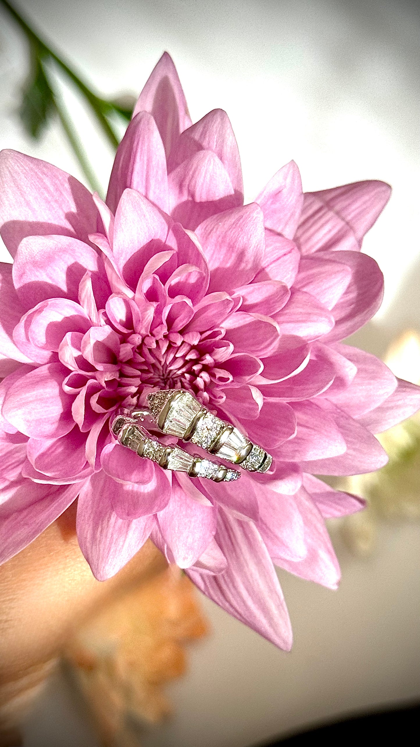 Viper ring